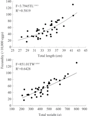 Fig.  6.  Relationship between fecundity and total length(upper), total weight(lower) of E