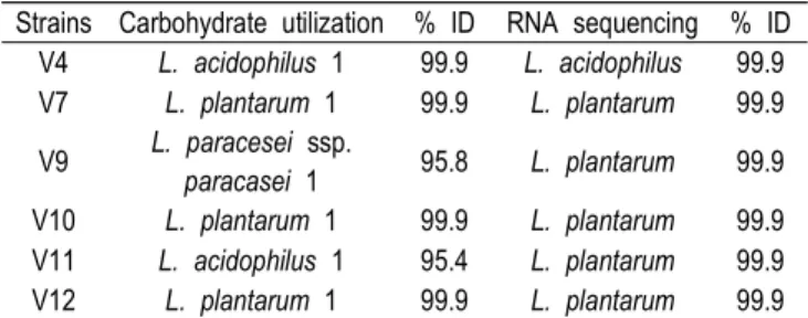 Table  1.  Identification  of  the  lactic  acid  bacteria 