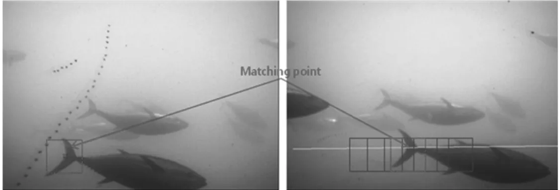 Fig. 4. Translation method (A) and angular displacement method (B).