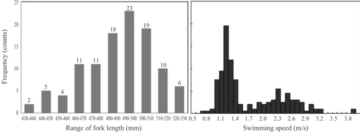 Fig. 9. Captured pictures (upper) and fish size measured pictures (down) of stereo camera system.