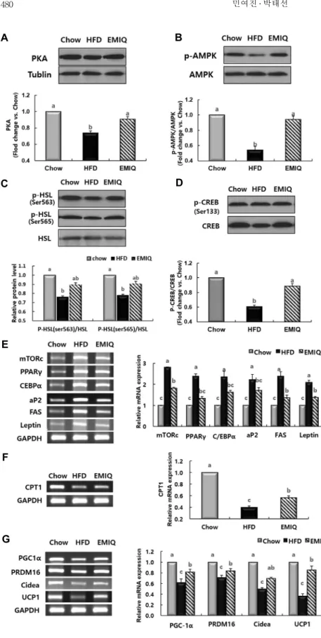Fig. 4. Effects of EMIQ on the expression of  molecules regulating adipogenesis, fatty acid  oxidation, and thermogenesis in epididymal  adipose tissue of mice fed a high-fat diet