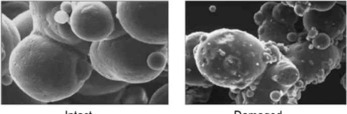 Fig.  6.  Microscopic  morphology  characteristics  of  powder  particles  after  MSD  spray  drying  (Magnification,  ×2,000)