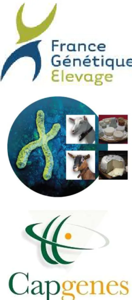 Table  2.  Average  lactation  quantity  and  protein/fat  contents  of  goat  milk  depending  upon  various  dairy  goat  breeds