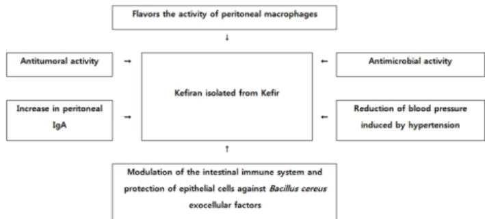 Fig.  1.  Various  biological  activities  of  Kefiran  isolated  from  kefir Source  :  Prado  et  al.,  2015