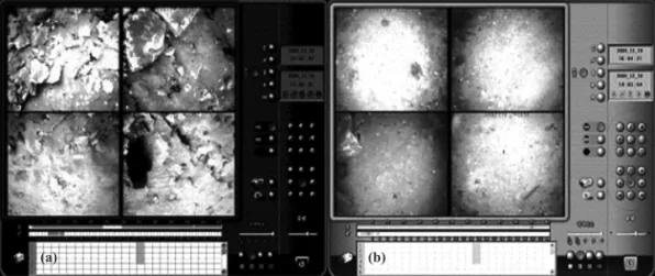 Fig. 7. Recorded images for sea test of a developed multi-directional underwater CCTV camera system