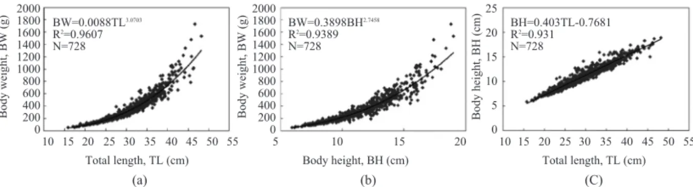 Fig. 4. Total length distribution of Marbled sole caught in the experiment. (a)  (b)  (C) 150100500Total length (cm)Catch number 18 21 24 27 30 33 36 39 42 45 48 51Gill netN=728