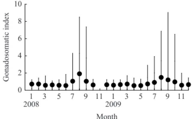 Fig.  4.  Monthly changes in gonadosomatic indices (GSI) of male of D. berycoides during January 2008-December 2009