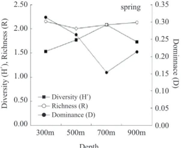 Fig. 7. Dendrogram based on the community similarity of each depth by abundance in autumn