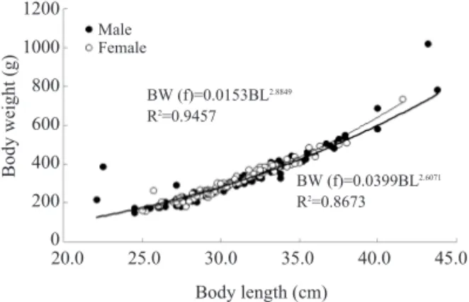Fig.  14.  Relationship between body length and body weight of jack mackerel in the southeastern Pacific Ocean in 2003.120010008006004002000Body weight (g) Body length (cm)20.025.030.035.0 40.0 45.0MaleFemaleBW (f)=0.0153BL2.8849R2=0.9457BW (f)=0.0399BL2.6