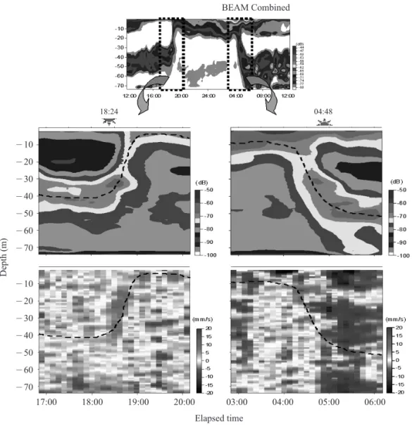 Fig. 3. Diurnal vertical migration of SSL from combined MVBS calculated by four beams and the vertical component measured by bottom mooring ADCP 307.2  kHz in April 20－21,  2003
