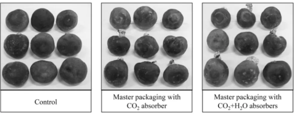 Fig. 3. Visual quality of packaged shiitake mushroom at end of supply chain.