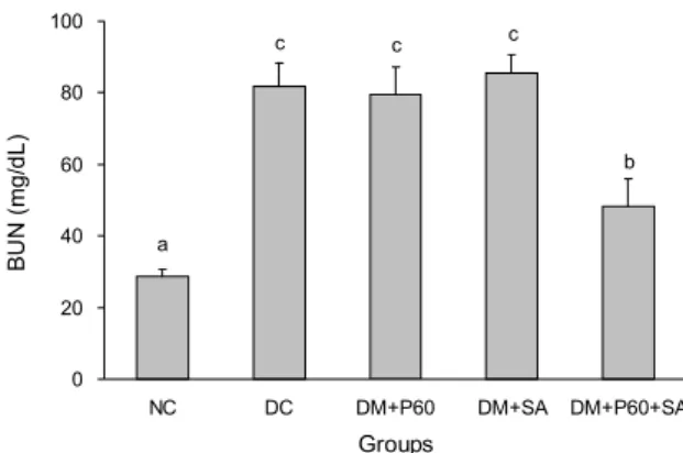 Table 3. Effects of P60 and SA on enzyme activities in kidney of diabetic rats  