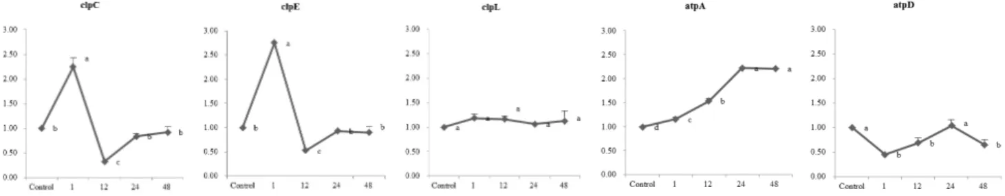 Fig.  8.  Expression  profile  of  the  clp  and  atp  genes  at  pH  4.5  for  different  time  in  L