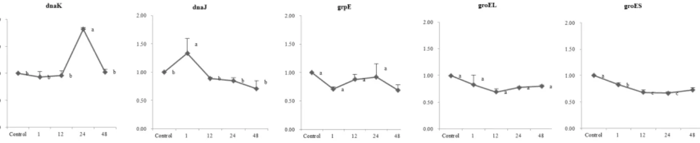 Fig.  9.  Expression  profile  of  the  stress  genes  at  pH  4.5  for  different  time  in  L