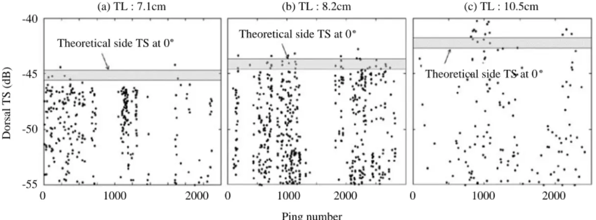 Fig. 7. Comparison dorsal-aspect TS with side-aspect maximum TS of Japanese anchovy at 120 kHz