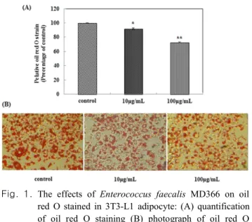 Fig.  1.  The  effects  of  Enterococcus  faecalis  MD366  on  oil  red  O  stained  in  3T3-L1  adipocyte:  (A)  quantification  of  oil  red  O  staining  (B)  photograph  of  oil  red  O  staining