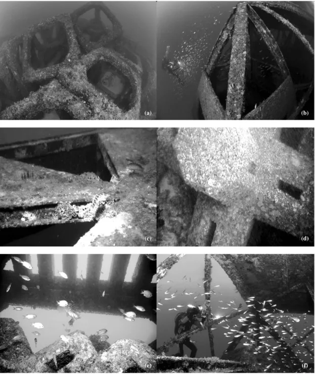 Fig. 3. The scenes of underwater photographing and the status of the artificial reefs in the study area (a: Dice type, b: