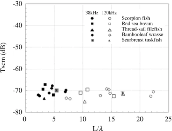 Fig. 5. Comparison of normalized target strengths (TScm) obtained by measurement and theoretical model.