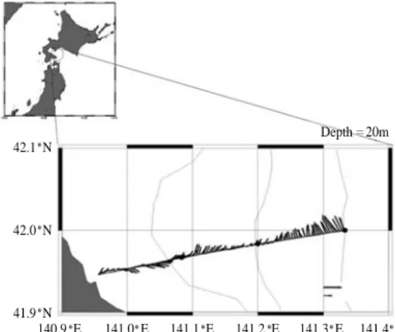 Fig. 2. The example picture of Pacific saury (Cololabis saira) caught by Framed Midwater Trawl net sampling.
