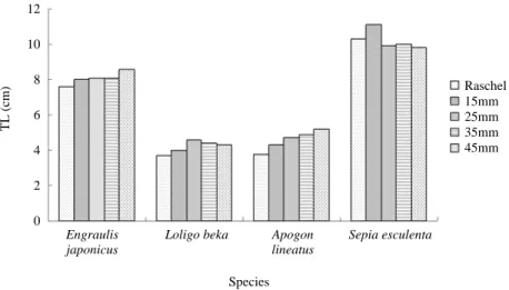 Fig. 4. Total and mantle length comparison according to the codend mesh size in October.
