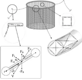 Fig. 1. Modeling of the fish cage net, the mooring line and the floating collar.