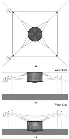Table 1. Physical characteristics of calculation parameters of the cage system