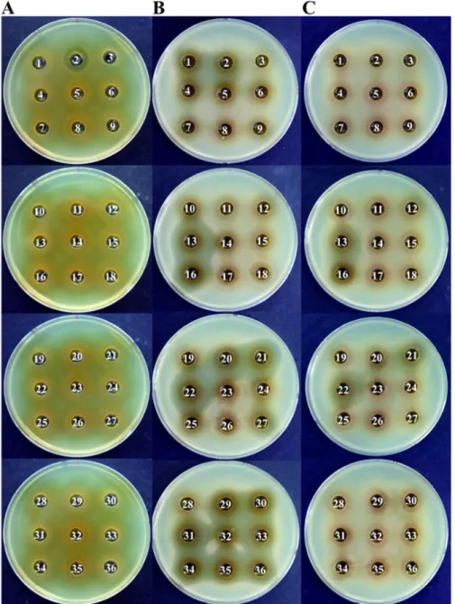 Fig. 1.  Antibacterial  activity  of  isolates  against  food-borne  pathogenic  strains