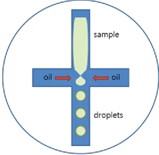 Fig.  1.  Droplet  digital  PCR  원리
