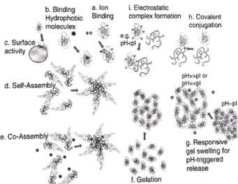Fig. 2.  Various  functionalities  of  milk  protein  (Livney,  2010). 필수 아미노산 함량은 아르기닌과 타이로신이 비교적 높게 나타났다