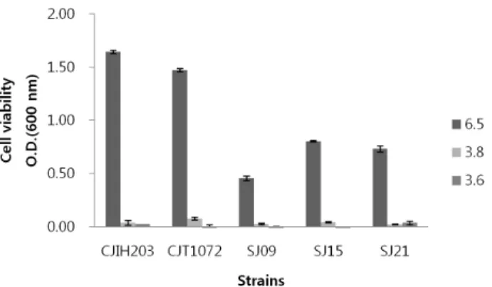 Fig.  1.  The  characterization  of  cell  viability  in  medium  with  pH  6.5,  pH  3.8,  and  pH  3.6