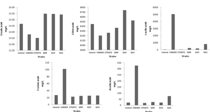 Fig.  4.  Changes  of  the  number  of  viable  cells  of  lactic  acid  bacteria  strain  in  5  days  and  12  days