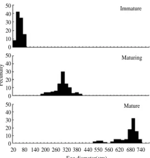 Fig. 7. Size frequency distributions of egg diameter of T.