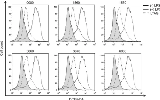Fig. 3. Effect of low temperature-aged garlic extracts on the production of reactive oxygen species in RAW 264.7 cells