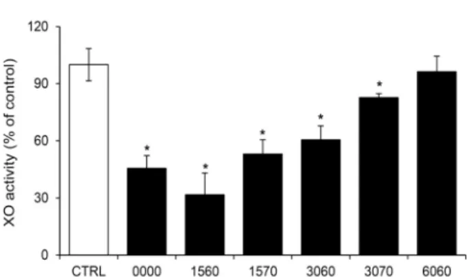 Fig. 5. Effect of low temperature-aged garlic extracts on expression of antioxidant mRNA in RAW 264.7 cells