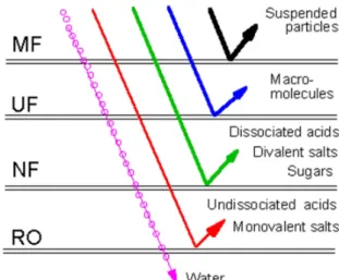 Fig. 1.   Components  separated  by  microfiltration  (MF), ultrafiltration  (UF),  nanofiltration  (NF),  and  reverse  osmosis  (RO)  processes  (Gutman,  1987)