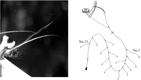 Fig. 2. Construct of traditional hairtail hand line used for operating test.