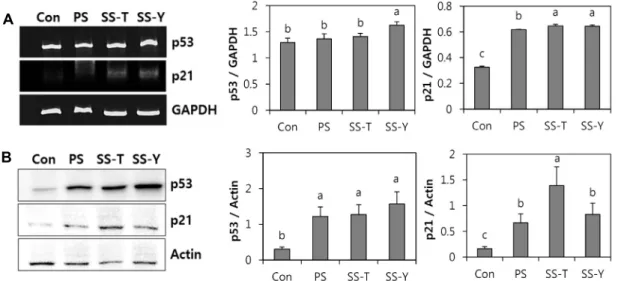 Fig. 3. Effects of salt samples (1%) on mRNA and protein expressions of p53 and p21 in HepG2 human hepatocellular carcinoma  cells