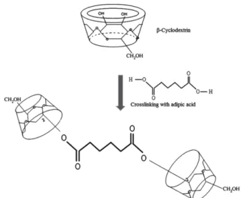 Fig. 4. Structure of closslinked β-cyclodextrin (Kwak et al., 2010).