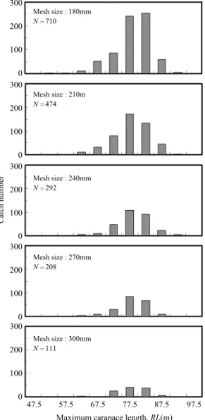 Fig. 2. Maximum carapace length (RL) distributions of female snow crab caught in the experiment.