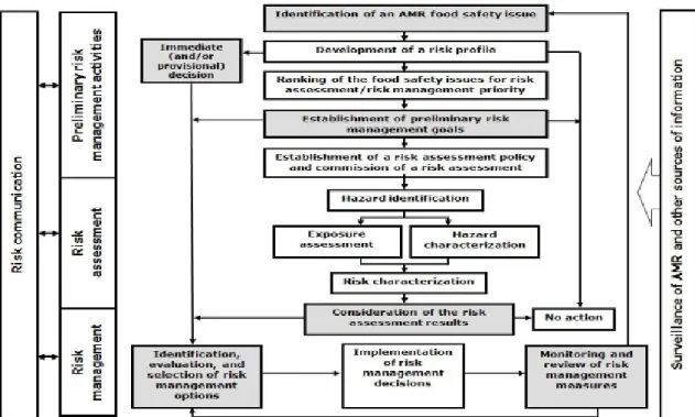 Fig.  1.   Framework  for  foodborne  AMR  risk  analysis.