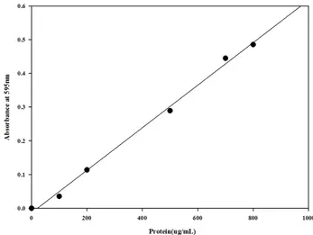 Fig.  1.   Standard  curve  of  protein  assay.