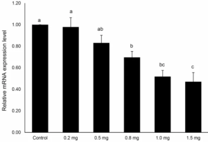 Fig. 4. Dose-dependent relative mRNA expression level of  HMG-CoA reductase of freeze dried garlic extract