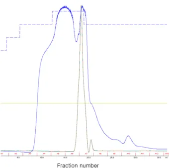 Fig. 1. Separation of protein components A(3～100 KDa, Ultra- Ultra-filtration) from culture supernatant of Lactobacillus  casei on FPLC(Sephadex 75) and each fraction(3 mL)  was collected(blue line - protein(280 nm); brown line -  conductivity).