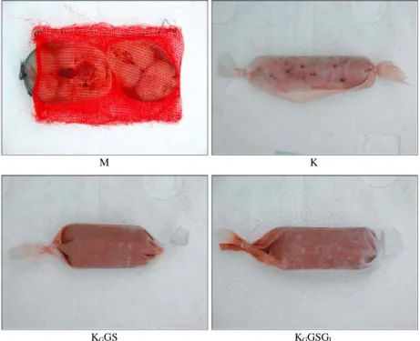 Fig. 3. Type of baits used in experiments of preference to the substitute baits.