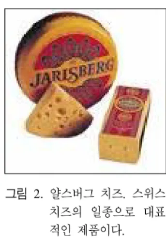 그림  3.  갈색  치즈인  Ski  Queen  제품
