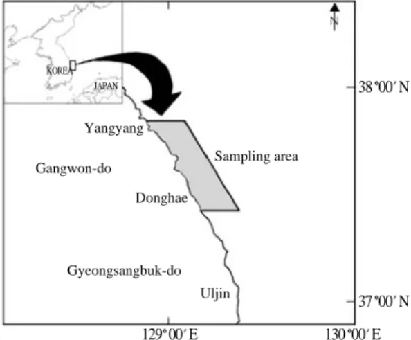 Fig. 1. Map showing the sampling area of the sandfish, Arctoscopus japonicus caught by the eastern sea danish seine and gill net in the East Sea of Korea.
