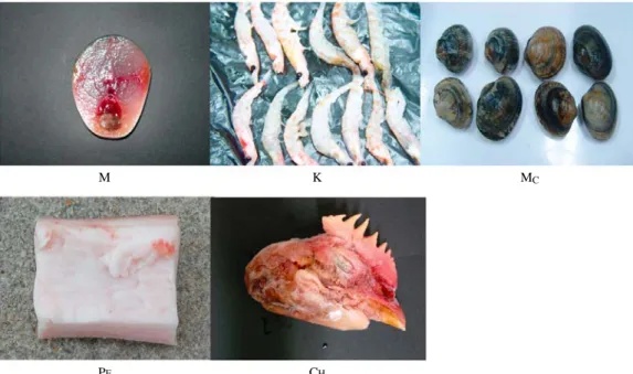 Fig. 2. Plastic bait cages painted by the fluorescent dye of four colors(red, yellow, green and blue).