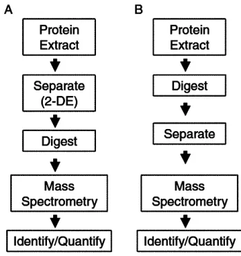 Fig. 1.  Proteomics/mass  spectrometric  workflow  (A)  gel-based  approach,  and  (B)  gel-free  approach  (Pedreschi R et al., Crit Rev Food Sci Nutr, 50(7), 2010) 