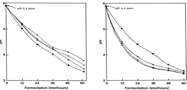 Fig. 2.  Changes in pH of Dongchimi juice during fermentation at 25℃ with addition of spices, 2% NaCl and  Dongchimi juice of pH 5.4, 4.4