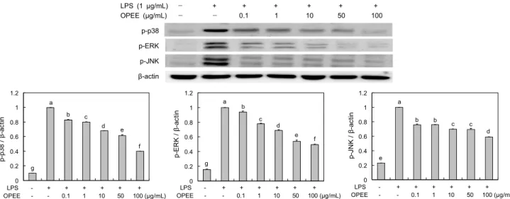 Fig. 4. Effect of onion peel  ethanol extract on MAPKs expression in LPS-induced RAW 246.7 cells